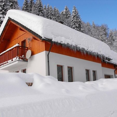 Apartment U Erlebachu Černý Důl Eksteriør bilde