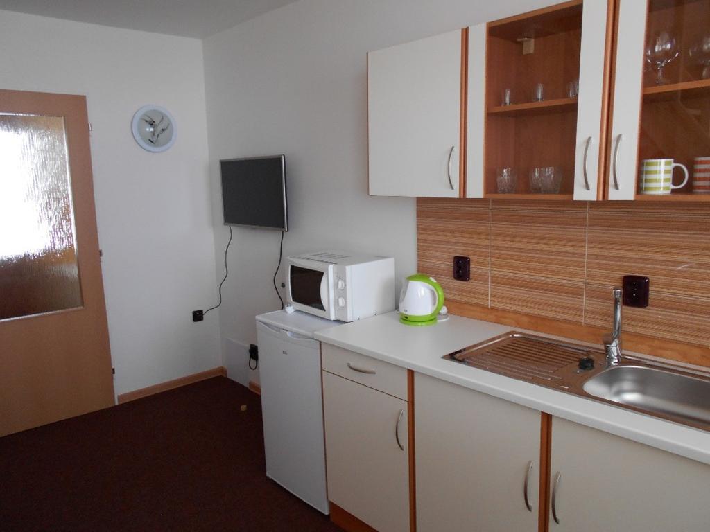 Apartment U Erlebachu Černý Důl Eksteriør bilde